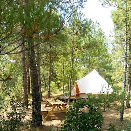 Forest Days Navés Zewnętrze zdjęcie