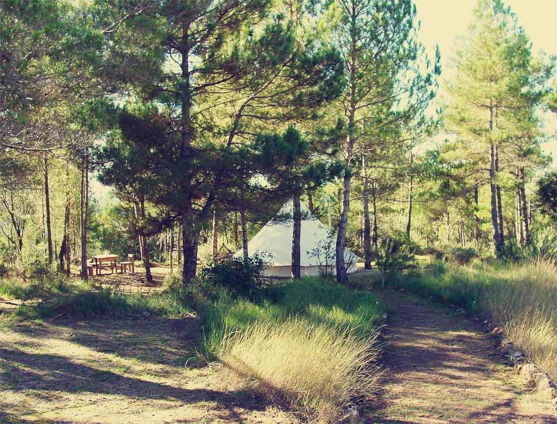 Forest Days Navés Zewnętrze zdjęcie